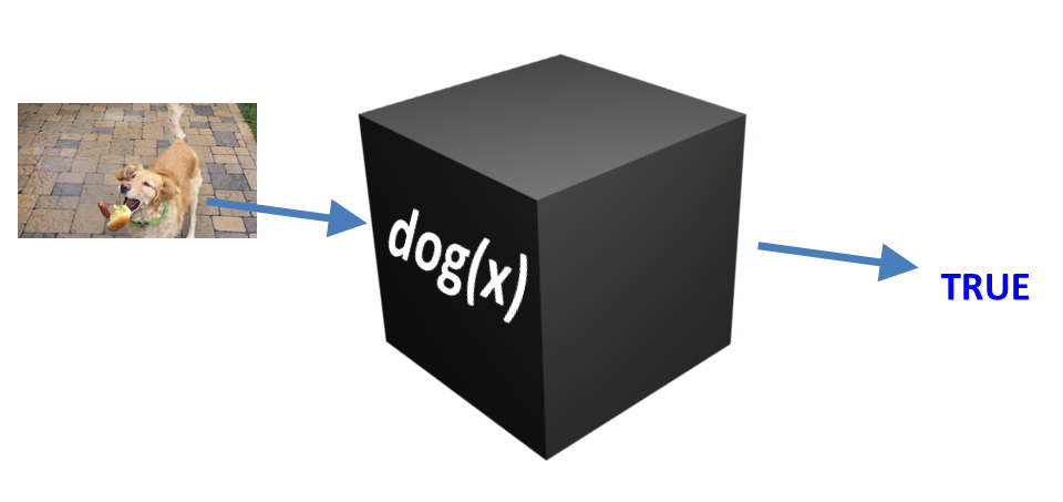 An image containing a picture of a dog, then an arrow pointing from the dog to
			a black box which says \