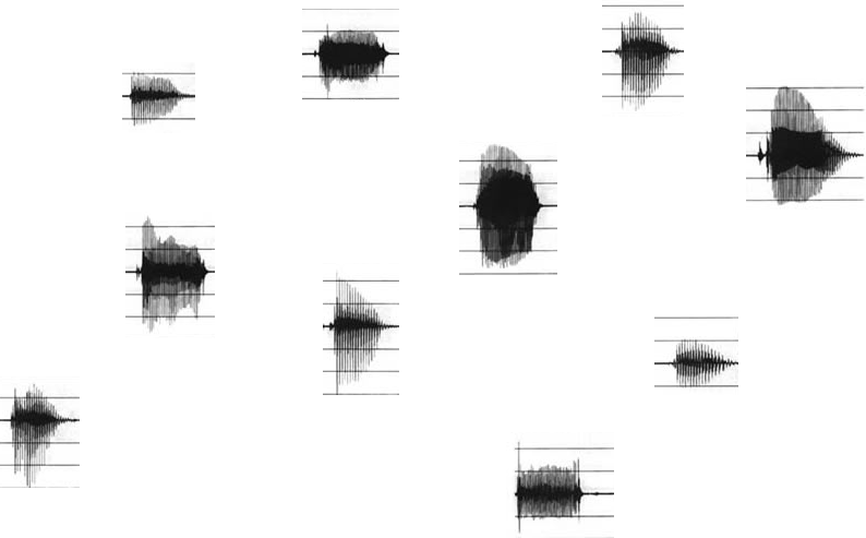 Several different speech waveforms